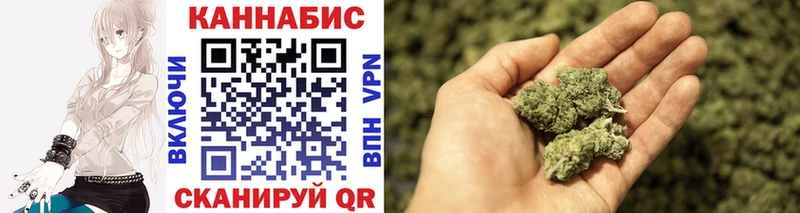 Конопля планчик Мезень